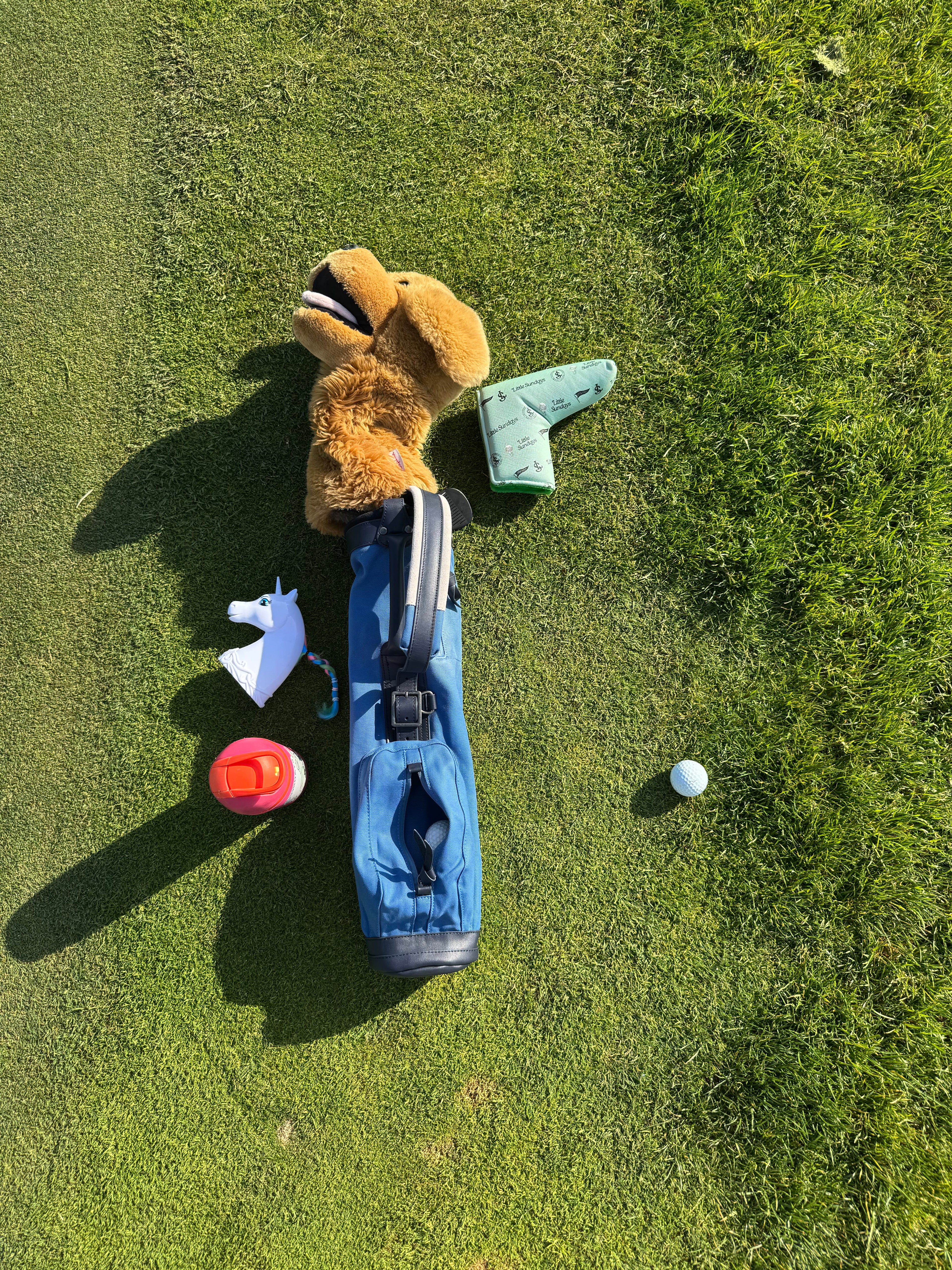 Toddler Golf Bag- Blueberry Bunker